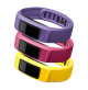 vívofit 2 Bands - 010-12336-XX - Garmin